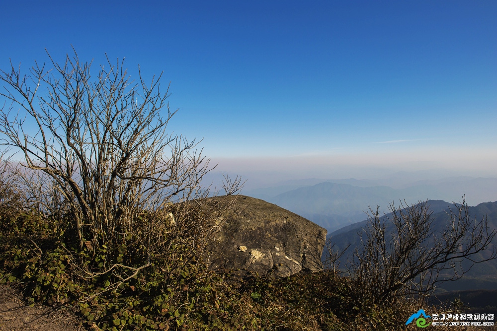 _DSC1912.jpg