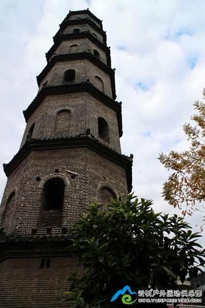 IMG_2316.jpg