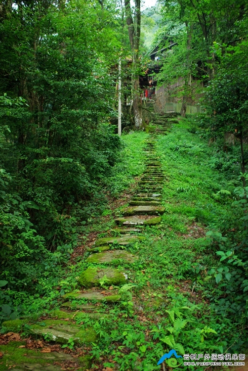 IMGP2261_.jpg