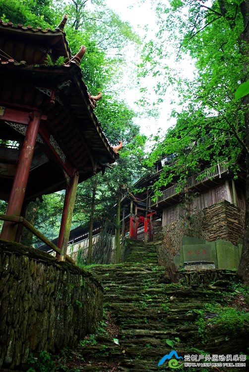 IMGP2263_.jpg