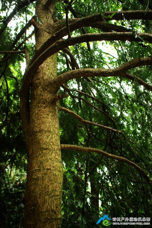 IMGP2211_.jpg